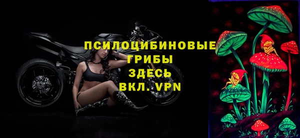 прущие крисы Аркадак