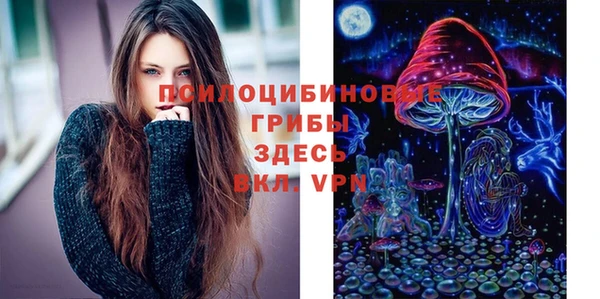 прущие крисы Аркадак