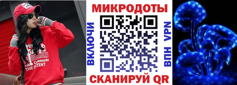 Галлюциногенные грибы Psilocybe  где купить   Сланцы 