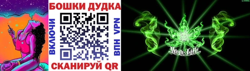 продажа наркотиков  Сланцы  Конопля конопля 